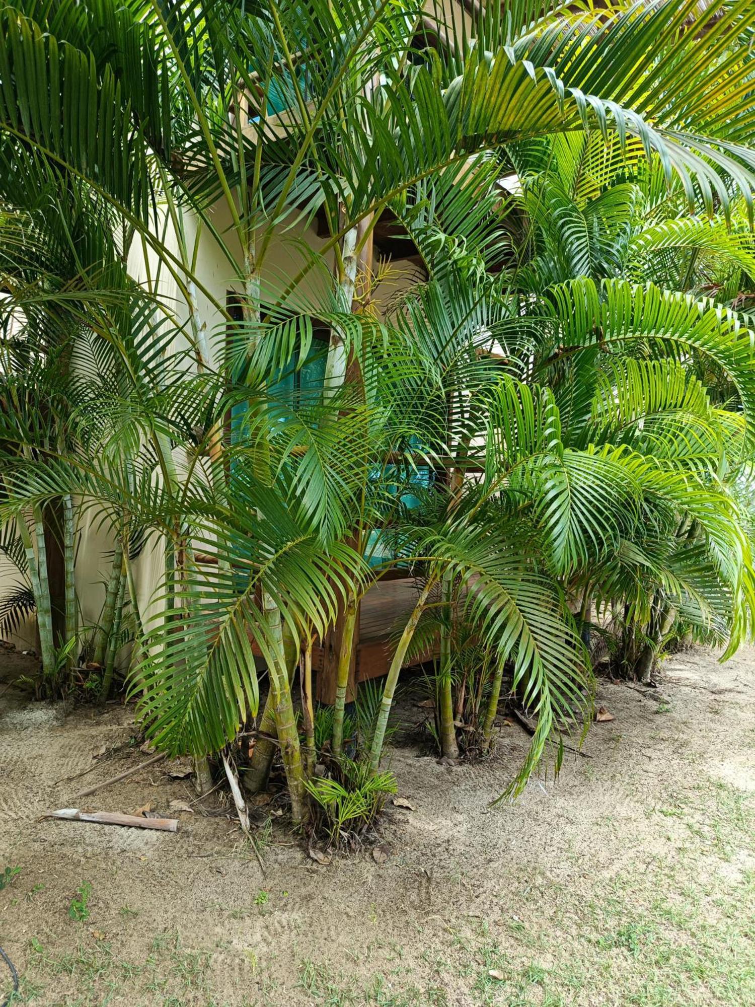 Pousada Mare Cumuruxatiba Exterior photo